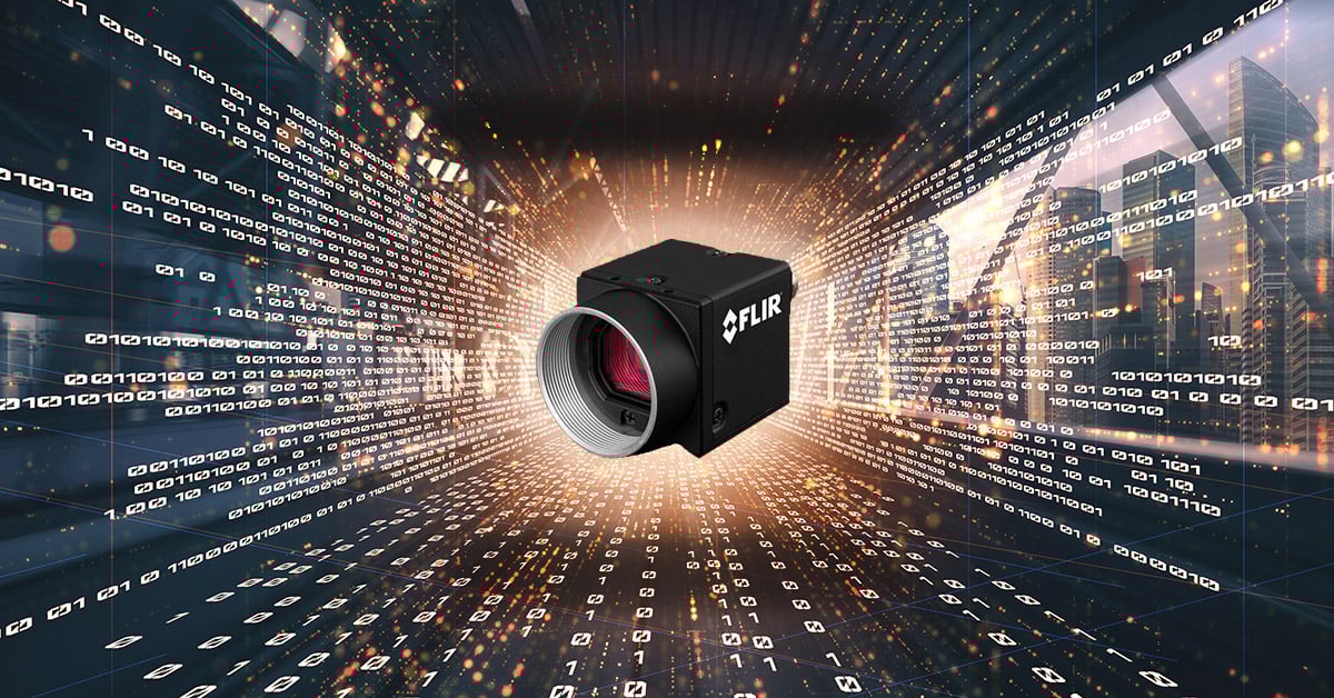 flir gige camera